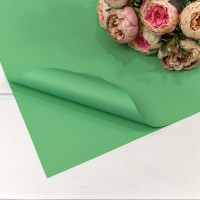 Плёнка в листах 55*55 (20 шт.) матовая "Корейская" 65мкм Салатовый 1/60 Арт: 1698/2255