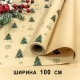 Плёнка для упаковки 1*10м 