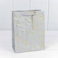 Пакет подарочный с тиснением &quot;Звёзды&quot; (микс) 18*23*10 210г 1/20 1/360 Арт: 300912E - Пакет подарочный с тиснением "Звёзды" (микс) 18*23*10 210г 1/20 1/360 Арт: 300912E