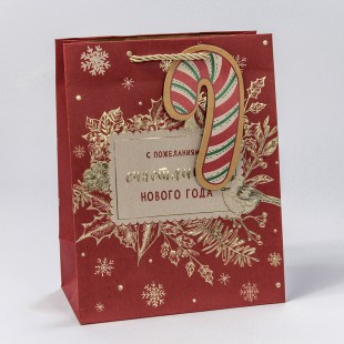 Пакет подарочный Крафт с тиснением "Новый год" (микс 436) 18*23*10 170г 1/20 1/360 Арт: 300436E